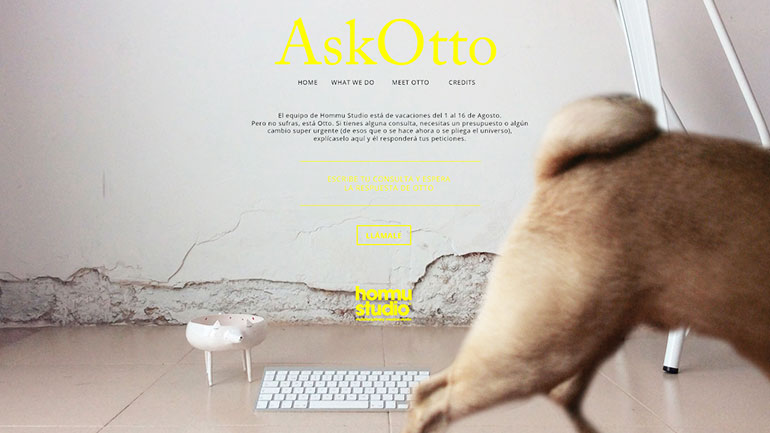 ASK OTTO SELF-PROMOTION